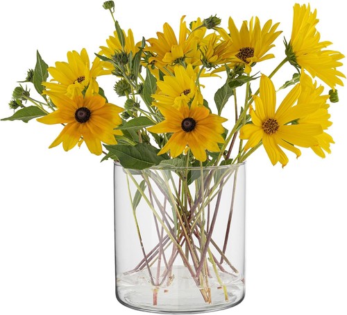 Trend for home - trend, in